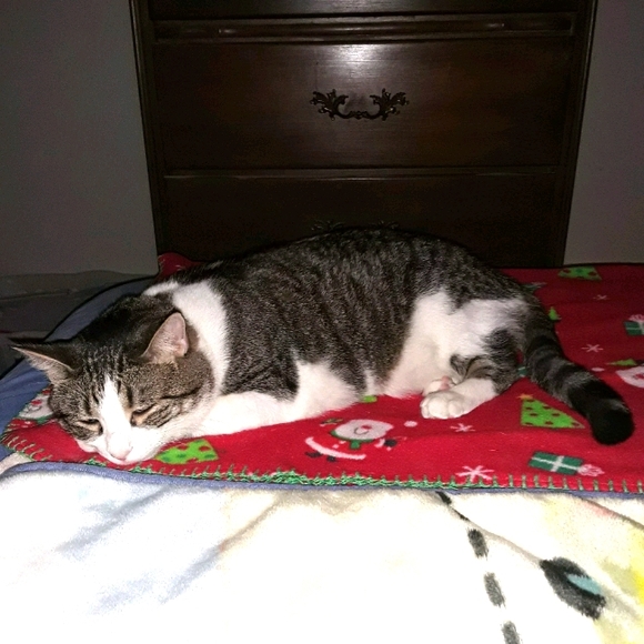 ☮️ Amber Marie ✌️ Poshmark Ambassador 👊 - Picture 10 of 16